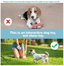 Load image into Gallery viewer, Ball - Cookies n' Creme (Large)