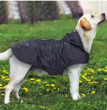 Load image into Gallery viewer, 45160853733528|45160853799064|45160853864600|45160853930136|45160853995672|45160854126744|45160854159512|45160854192280|45160854225048